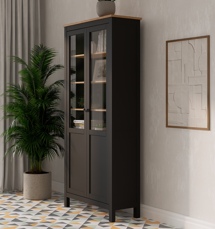 HEMNES ХЕМНЭС  КЫМÖР Шкаф с 2 дверями черный/светло-коричневый
