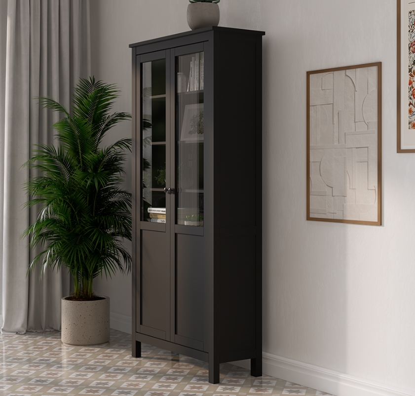 HEMNES ХЕМНЭС  КЫМÖР Шкаф с 2 дверями черный